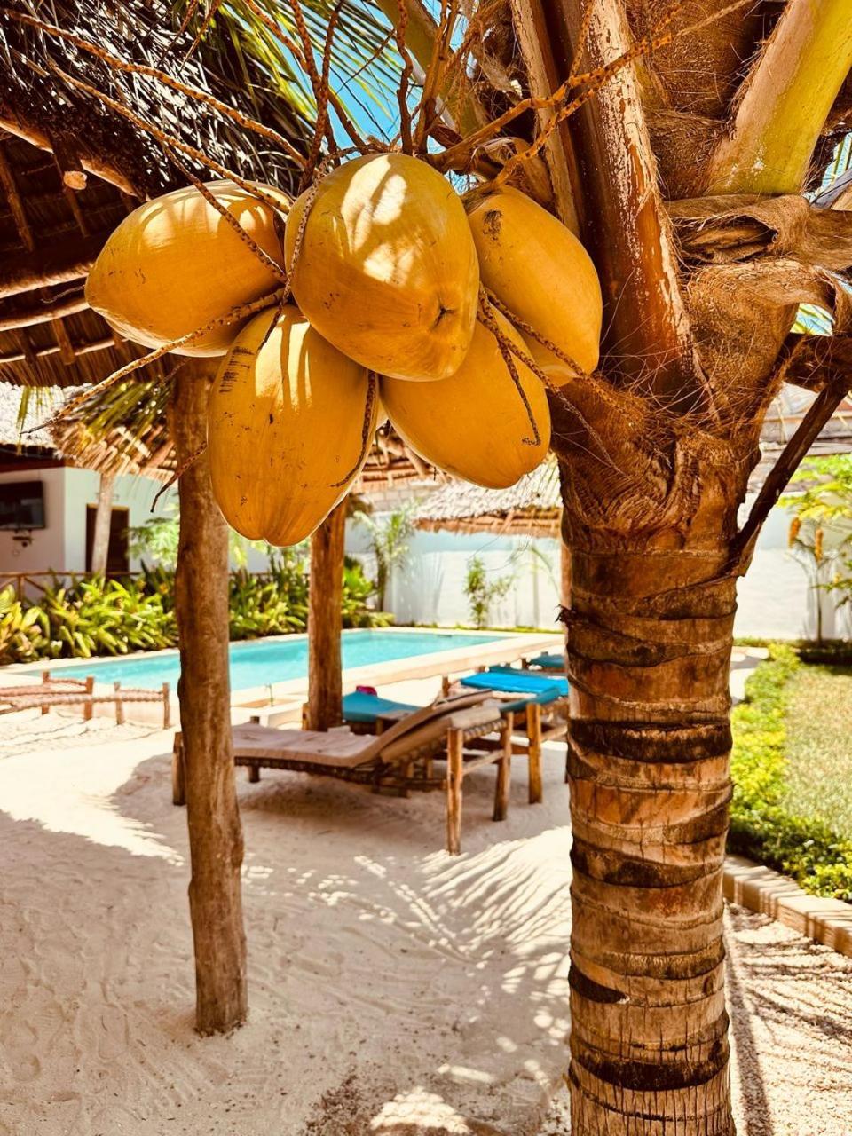 Lala Salama Kendwa Villas Exterior foto